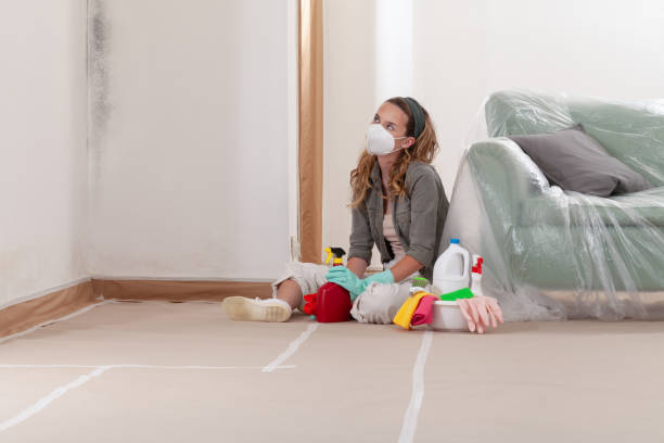 Reliable Commercial Mold Remediation contractor in Lakewood, CO by WQB Mold Removal